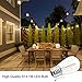 1W S14 LED Light Bulb - Truly Warm 2200K Dimmable Clear Glass E26 Base for Outdoor String Lights - 11W Incandescent Bulb Equivalent - Edison Cafe Ambience Glow 25 Pack - UL Listed