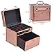 Giantex Makeup Train Case Nail Polish Travel Panel Nail Accessories Organizer w/Slide Out Drawer (Black)