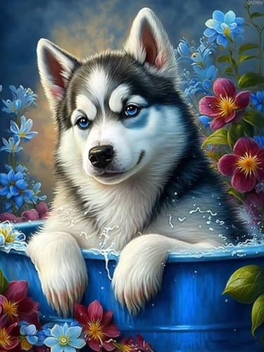 Loisir créatif diamant husky sibérien contre le stress et l'ennui des adultes