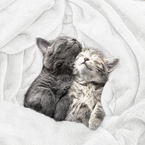 Image of Utopia Bedding Fleece Blanket Queen Size White (90x90 Inches) Ultra Soft Warm Lightweight Microfiber Breathable Anti-Static Cozy Bed Blanket, All-Season Home Decor Gift for Women and Men