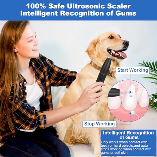 Image of Dog Plaque and Tartar Remover,Dogs Teeth Cleaning Kit with Led Light | 3 Modes Dog Tooth Plaque Remover,Canident-Sonic Tooth Cleaner for Dogs and Cats,Low Noise Ultrasonic Pet Teeth Cleaner,Black