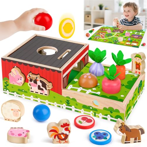 Montessori Spielzeug ab 1 2 Jahr: Geschenk Junge Mädchen 1-2 Jahre Kinderspielzeug Motorikwürfel Holzspielzeug Farmspiel mit Karte Karotten Steckspiel Lernspiel Kleinkinder ab 12 Monate Activity Spiel
