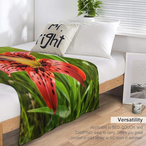 Couverture plaid chaud en flannel molleton de flanelle toutes saisons lit