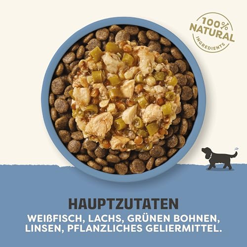 Applaws Taste Toppers 100% natürliche Wet Dog Food Topper, Grain Free Whitefish mit Lachs und Gemüse in Soße Beutel 12 x 85g Beutel