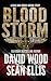 Bloodstorm: A Dane and Bones Origin Story (Dane and Bones Origins Book 10)