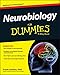 Neurobiology For Dummies (For Dummies Series)