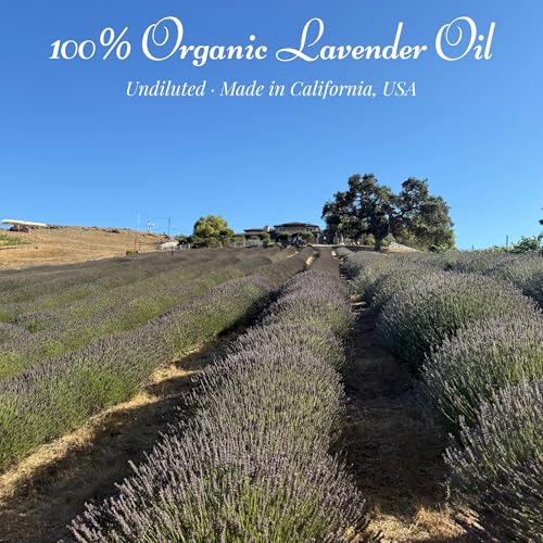 Aceite Esencial de Lavanda Orgánico Soti, 5 mL miniatura 3