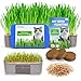 Cat Grass Kit for Indoor Cats - 3 Pack | Organic Wheat Grass Seeds, Grows in 7 Days | Digestive Health & Reduces Hairball | Gift for Cat Lovers with BPA-Free Planters, Soil & Non-GMO Seeds