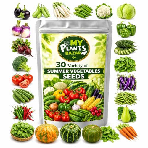 Image of 30 Variety Summer Veg Seeds Combo Pack | High Germination Non-GMO Organic Seeds for Home Gardening | Kitchen Garden, Balcony & Terrace Growing Kit (All-in-One Veg Seed Collection)