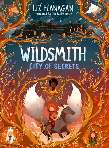 Cover of City of Secrets