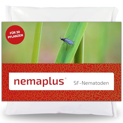 e-nema Nematoden gegen Trauermücken | 3 Mio. für 6 m² oder bis zu 30 Pflanzen | nemaplus