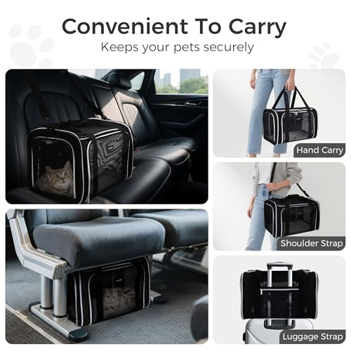 Image of BAGLHER Pet Travel Carrier, Cat Carriers Dog Carrier for Small Medium Cats Dogs Puppies, Airline Approved Small Dog Carrier Soft Sided, Collapsible Puppy Carrier. Black