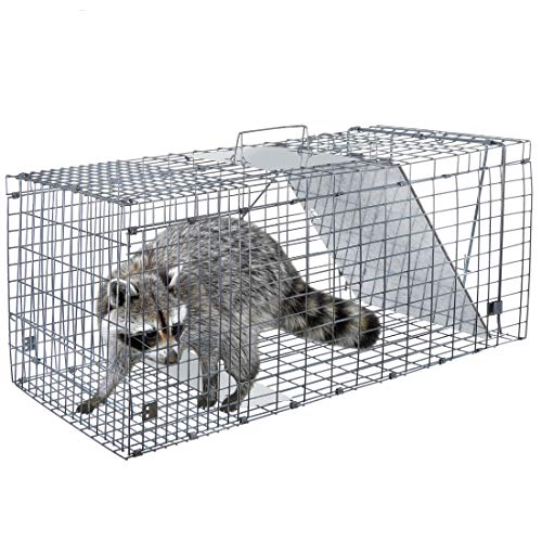 ANT MARCH Live Animal Cage Trap 32''x11.5"x13" Steel Humane Release Rodent Cage Iron Door for Rabbits, Stray Cat, Squirrel, Raccoon, Mole, Gopher, Opossum, Skunk, Chipmunks, Groundhog - Image 7