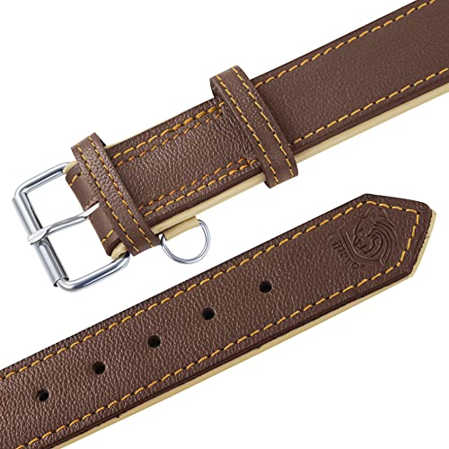 Riparo Echtes Leder Verstellbares Hundehalsband mit Zusätzlicher Verstärkung (L: 3,8CM Breit für 43,2CM - 53,3CM Hals, Braun)