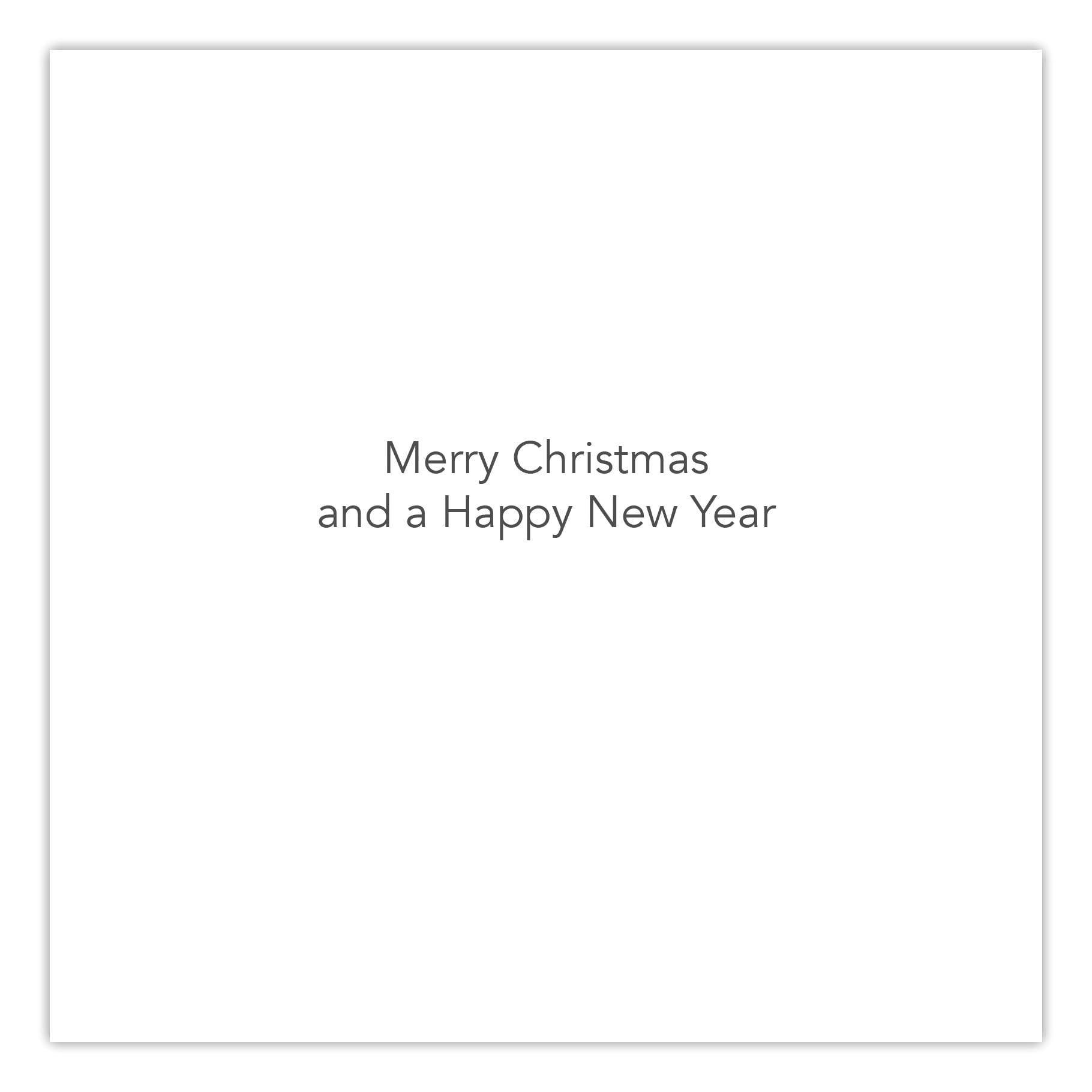 GBCC Charity Christmas Cards Pack of 6, Festive Donkeys & Friends in the Snow - Image 3