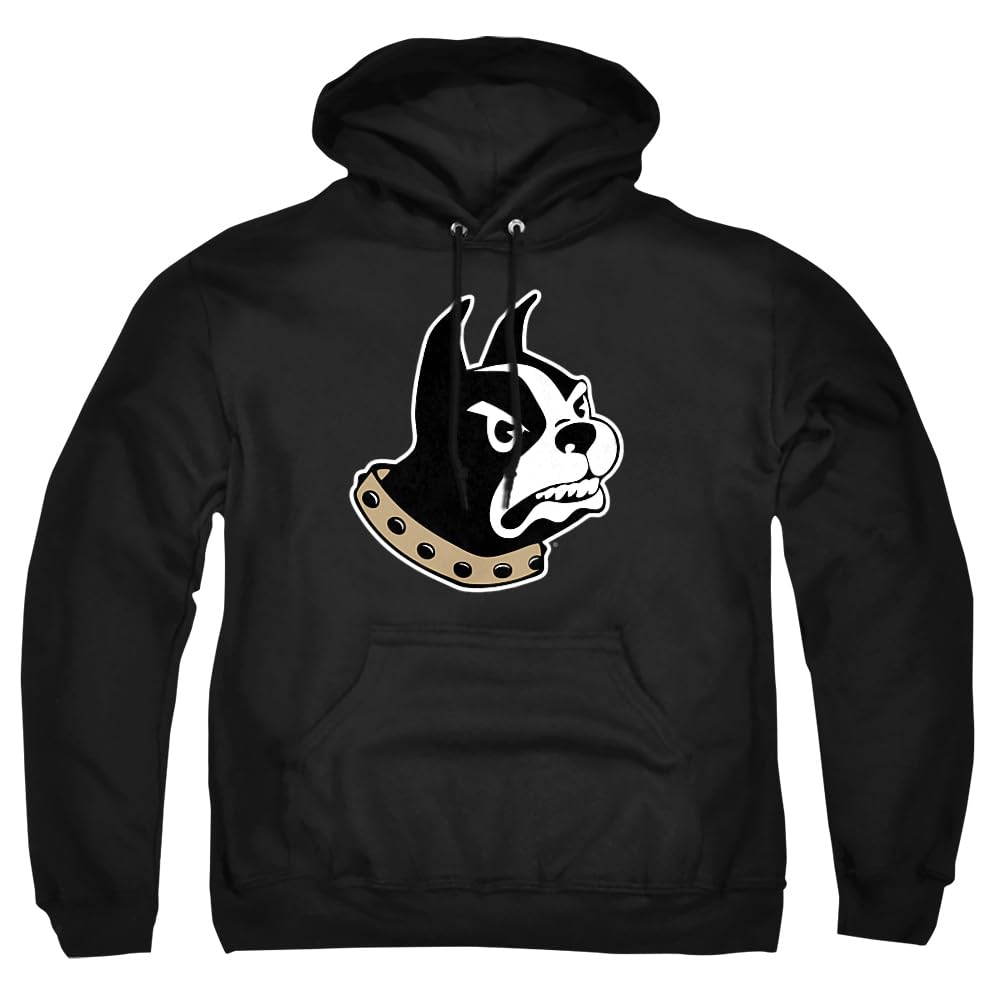 LOGOVISION Official Collegiate Distressed Primary Logo Adult Pullover Hoodie Collection — view 391