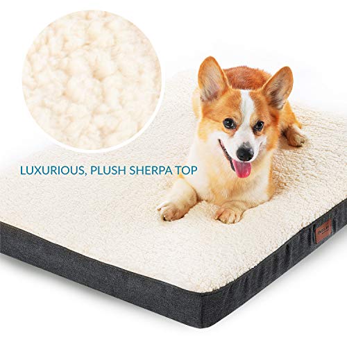 Petsure Orthopedic Dog Bed (L, 36x27x3 inches) for Small, Medium, Large Pets Up to 75 lbs - Foam Dog Bed with Plush Sherpa Top - Washable Cover - Grey - Thumbnail 2