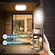 LED Kellerlampe mit Bewegungsmelder Innen, IP65 Kellerleuchte LED Wandlampe, 12W 1200LM Deckenleuchte mit Bewegungsmelder, 4000K Feuchtraumleuchte Oval für Keller Treppe Garage Flur