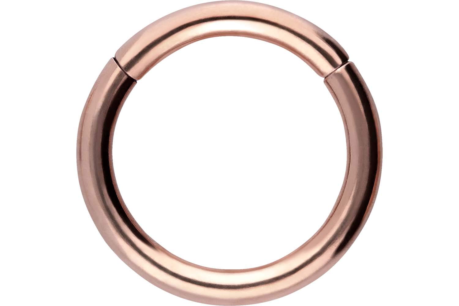 PIERCINGLINE Anillo segmento Clicker de acero quirúrgico – Piercing en oro, plata, rosa, negro o azul – para nariz, tabique, oreja, hélice o tragus — view 145