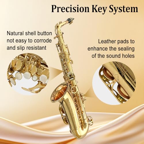 Image of Yinfente Eb Alto Saxophone For Beginners Adult,Saxophone Student,E Flat Alto Sax Full Kit With Reeds,Pads Cushions,Hard Carrying Case,Cleaning Cloth & Rod,Mouthpiece,Gloves,Neck Strap Gold