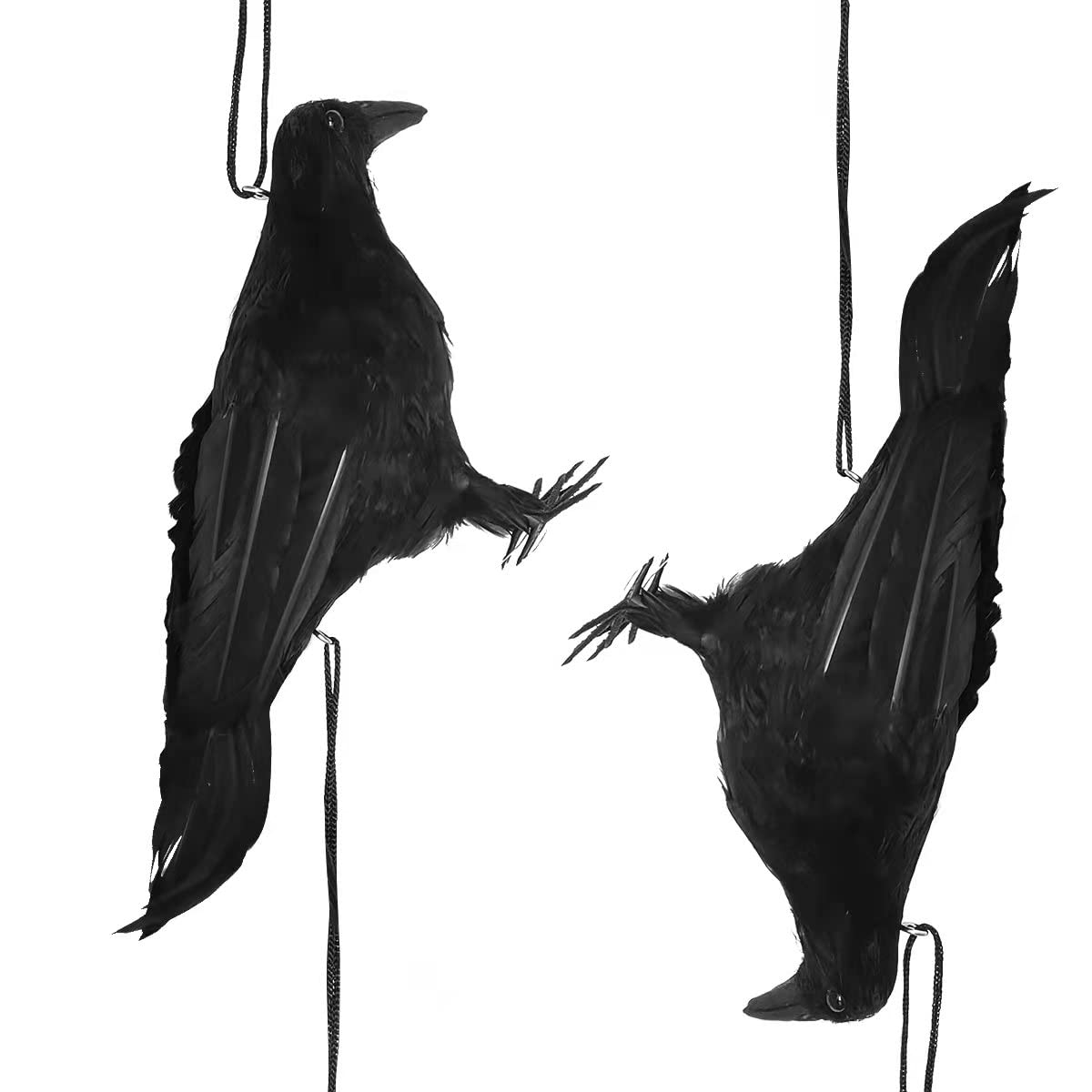 Amazon.com: ZILIN 2pcs/Pack,32cm Fake Dead Crow Lifesize Black