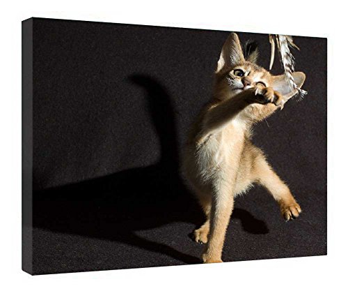 Toile murale en bois encadrée jeu amusant solution déco rapide pour mur vide 40x50