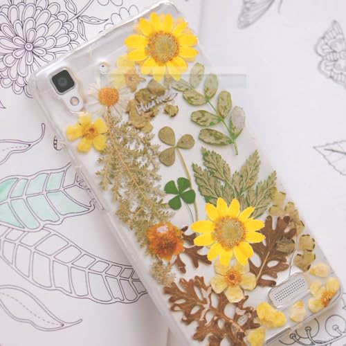 TEHAUX 2 sets flores secas para manualidades 48 pcs miniatura 7