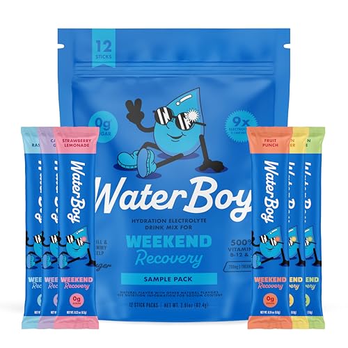 Waterboy Weekend Recovery Sample Pack | 3,200mg Electrolyte Powder Packets | Ginger + L-Theanine +