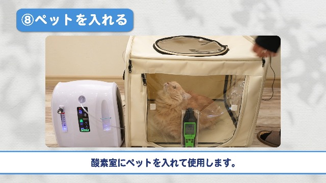 Amazon | 【獣医師監修】 小型犬・小型動物対応 スタンダード 酸素発生