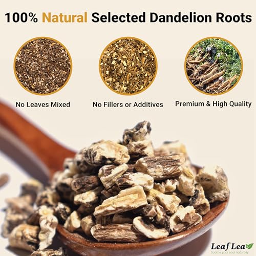Image of LeafLea Dandelion Root Tea Bags, 240 Count, Natural Dandelion Herbal Tea Blend, Natural Dried Dandelion Root, Caffeine-Free, Sugar-Free, Vegan, Sealed for Fresh Flavor, Pack of 6