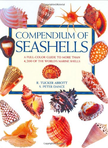 Compendium of Seashells 4 Edition – Wiselibs.shop