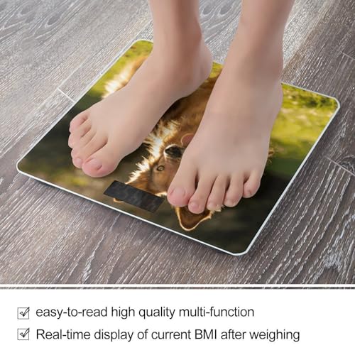 Báscula digital para peso corporal 400 lb con pantalla LCD miniatura 5
