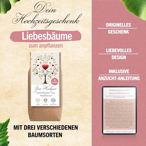 Hochzeitsgeschenk Anzuchtset Liebesbäume Hochzeitsgeschenke für Brautpaar Liebesbäume Geschenk Hochzeit kleine Aufmerksamkeit Hochzeitsbaum Baum Pflanzen Samen Set (Variante 1)