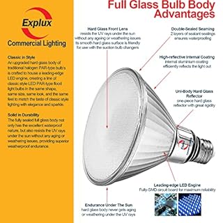 Explux 250 Watt Equivalent PAR38 LED Flood Light Bulbs, Super Bright 3300 Lumens, Dimmable, Full-Glass Outdoor Waterproof & Anti-Ageing, 5000K Daylight Spotlight, 4-Pack
