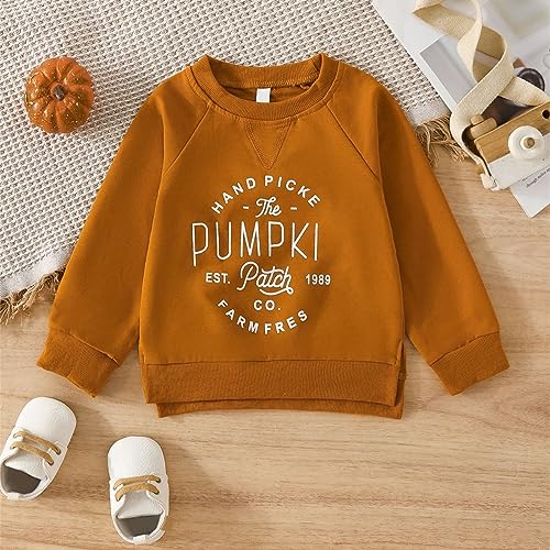 Girl 2024 New Sweater Toddler Girl Hoodie Solid Color Letter Printed Round Neck Long Sleeve Top For 1 To 5 Years3