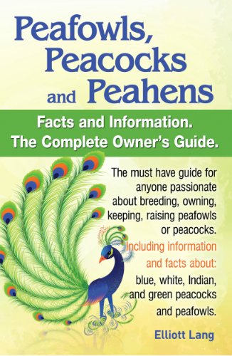 Peafowls, Peacocks and Peahens. Including facts and information about blue, white, Indian and green peacocks. Breeding, owning, keeping and raising peafowls or peacocks covered.