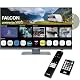 Falcon FN-TV24-S