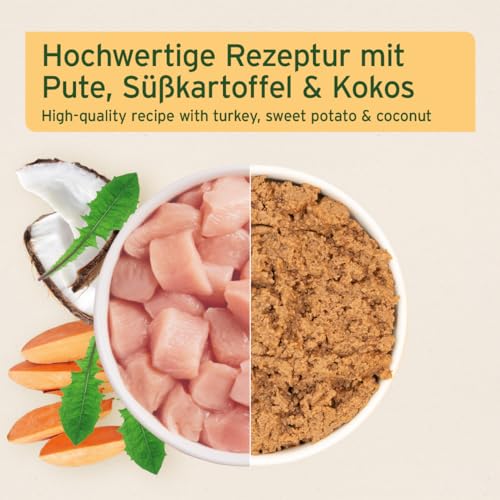 AniForte Fine Turkey Nassfutter für Katzen 6 x 400 g – Katzenfutter nass mit viel Truthahn & Gemüse, natürliches Futter für Katzen, Katze Nassfutter getreidefrei, hoher Fleischanteil