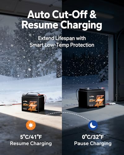 Image of LiTime 12V 50Ah LiFePO4 Lithium Trolling Motors Battery, 4000+ Deep Cycle Bluetooth Marine Battery with Low-Temp Protection, EV-Grade Cells & Smart 50A BMS, Perfect for Fishing Finder, Yacht (4Pack)