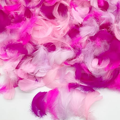 500PCS Small Craft Feathers Hot Pink Assorted Colors Bulk 2-3Inch Soft Goose Feather for Wedding Birthday Party Decoration Crafting Balloons Ornament Dream Catchers