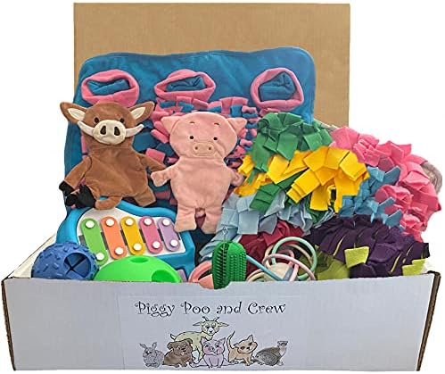 Piggy Poo and Crew Pet Box - (Pink/Blue)