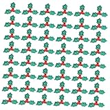 Photo Gallery decornijia 200 pezzi decorazioni natalizie foglie e bacche ricamate colorate per da te adatte per addobbi albero di natale articoli per decorazione festiva e lavoretti manuali Photo Gallery decornijia 200 pezzi decorazioni natalizie foglie e bacche ricamate colorate per da te adatte per addobbi albero di natale articoli per decorazione festiva e lavoretti manuali
