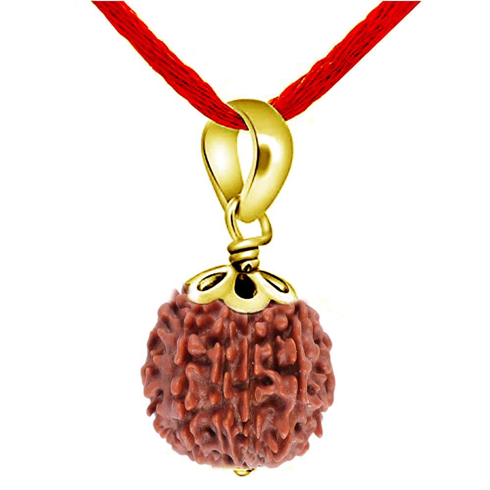 1 2 3 4 5 6 7 8 9 10 11 12 13 Mukhi Gauri Shankar Ganesh Mukhi Nepali Gold Plated Pendant Lab Certified Original Rudraksha rudrakshi rudrax for Men and Women