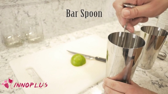 Cocktail Shaker Bar Set: 2 Gewichteten Boston Shaker, Cocktail Sieb Set ,Jigger,Muddler Und Löffel, Eis Tong Und 2 Flasche Ausgießer