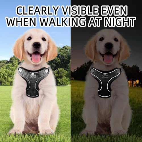 Dog Harness Medium Breathable Vest, Step-in Cat Puppy Collars and Lead Sets, Adjustable Dog Harness And Lead Set with Collar for Small Medium Pet Training or Walking Safety - Image 3