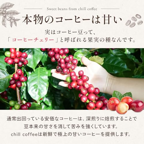 chill coffee ゲイシャ コスタリカSHB 浅煎りコーヒー豆 100g