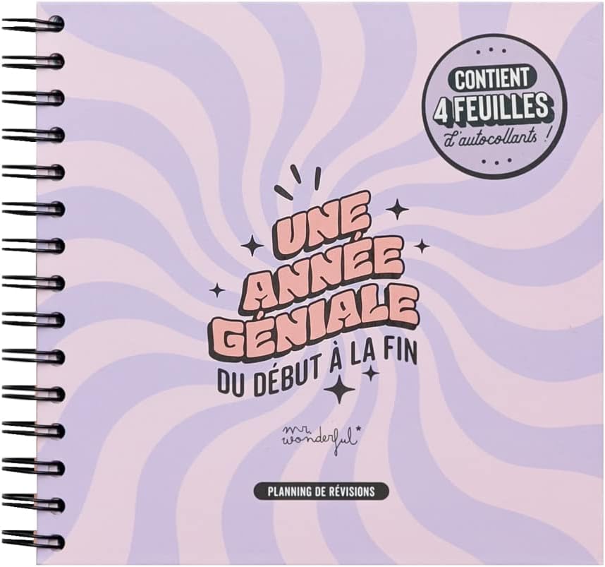 Mr Wonderful Planificador Con Hojas Borrables Aquí Dentro Caben Un Millon De Planes Diarios Y Cuadernos Calendario Horario