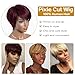 JOEDIR HAIR Pixie Cut Wig Human Hair Short Wig for Black Women Short Pixie Wig Glueless Wig 150% Density (Red)