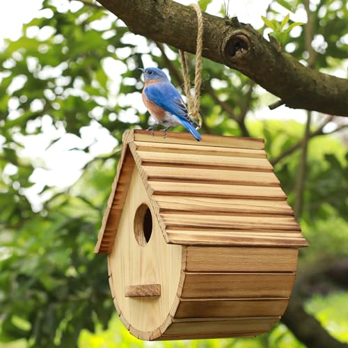 STARSWR-Bird-House-for-OutsideBird-Houses-Outdoor-Natural-Wooden-Bird-House-Clearance-Bluebird-Finch-Cardinals-Hanging-Birdhouse-for-Garden-Viewing STARSWR Bird House for OutsideBird Houses Outdoor Natural Wooden Bird House Clearance Bluebird Finch Cardinals Hanging Birdhouse for Garden Viewing