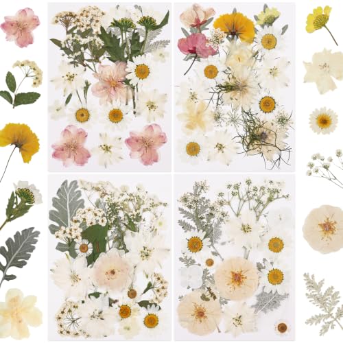 Image of NESCCI 83 Pcs Dried Flowers for Crafts,Real Natural Dried Pressed Flowers in Soft Yellow, White & Pink Tones for Resin,Used for Scrapbooking DIY Art Crafts Candle Soap Making Nails Decor